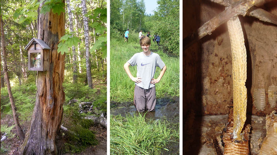 oferta szkoły wycieczki czerwone bagno grzędy biebrza